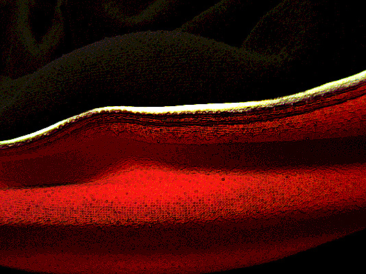 stripes02.jpeg