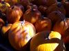 Pumpkins