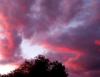 Sunset Over Rosewood Ave