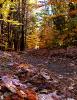 Trail, 2