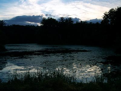 Number One Pond