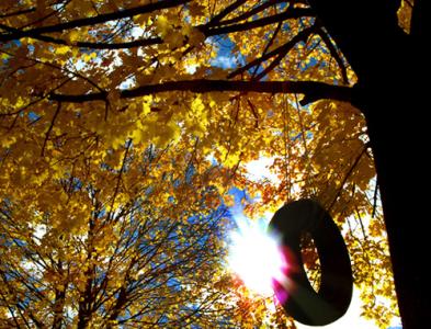 Tire Swing